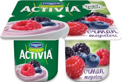 Activia Orman Meyveli - 1