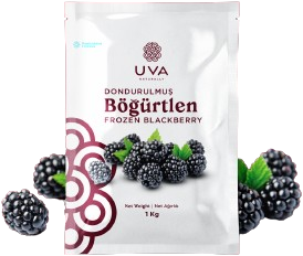 Uva Böğürtlen Yerli Kase - 1