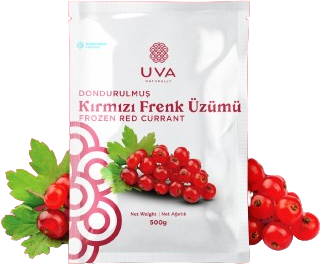 Uva Frenk Üzümü Kırmızı - 1